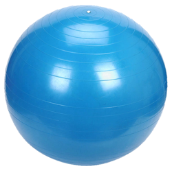 PLATINIUM Classic 65 niebieska - PIłka fitness